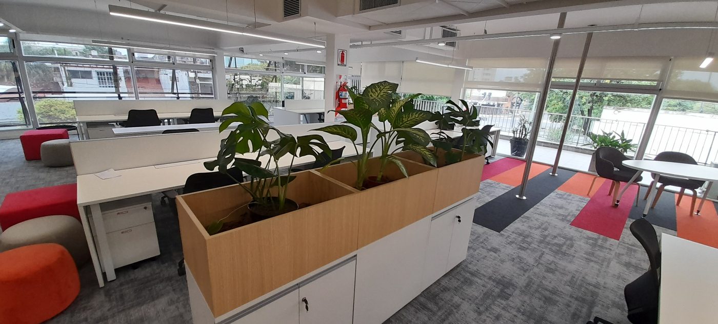 Área operativa open plan con puestos de trabajo y jardineras divisorias
